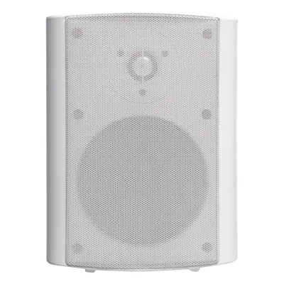 Altavoz exterior TRUAUDIO OL-5WT de 5.25 pulgadas y 80 W