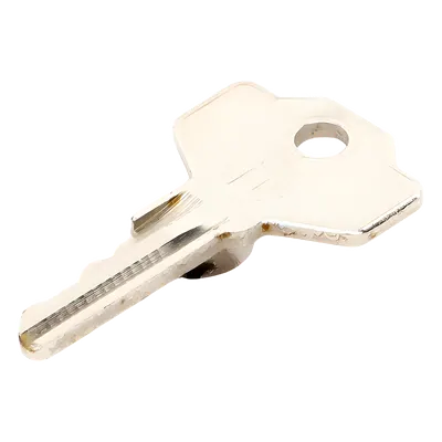 Llave codificada CAME 88003-0064 para sistema de anclaje GARD