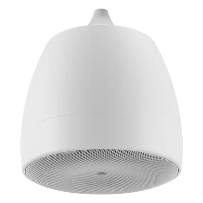 Altavoz Colgante / 6.5 in (16.5 cm) / 2 Vías / 300W / 8Ω / 70V/100V / 120° Dispersión / Blanco
