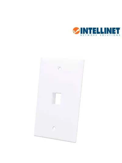 Tapa de pared INTELLINET 163286 para una salida de red