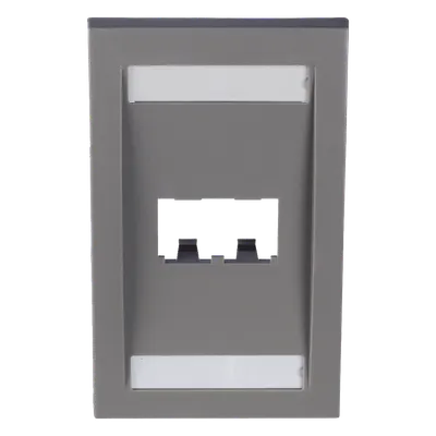 Placa de Pared Vertical / 2 Puertos Mini-Com / Espacios para Etiquetas / 2.75 x 4.5 in / Gris