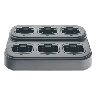 Cargador Múltiple / 6 Espacios / 110-220 VCA a 12 VCD / 0°C a 45°C / 0-95% RH