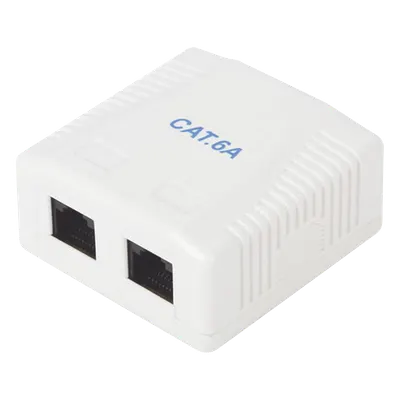 Caja de pared LINKEDPRO LP-WP-39-C6A de 2 puertos Cat6A