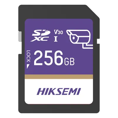 Tarjeta microSD HIKSEMI GuardPro P10 de 256 GB para videovigilancia