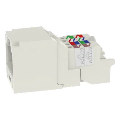 Conector Jack RJ45 / Mini-Com TP / Categoría 6 / 8P8C / Sin Herramienta / Blanco Mate