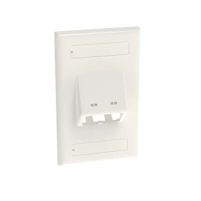 Placa de Pared Vertical / 2 Puertos Mini-Com Inclinados / ABS / 2.75 x 4.5 in / Con Etiquetas / Blanco