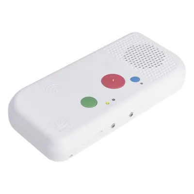 Terminal IP IBERNEX NX0019/B para habitación con código azul y PoE