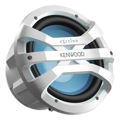 Subwoofer de 10" / Potencia Máxima 1300 W / RMS 300 W / IPX6 / Iluminación LED 21 Colores RF / 4 Ohmios