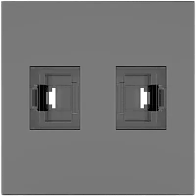 Módulo Pasivo TBUS / 2 Puertos RJ45 Passthrough / Entrada y Salida 2 Hembras / Color Negro Grafito RAL 9011