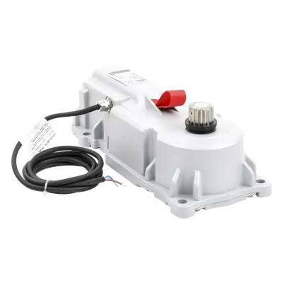 Operador subterráneo FAAC 10675301 para puertas abatibles, 24 V DC
