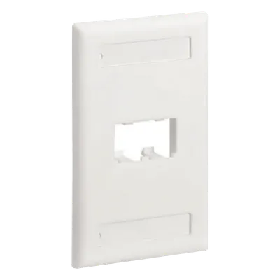 Placa de pared inclinada PANDUIT CFPL2WHY de 2 puertos Mini-Com
