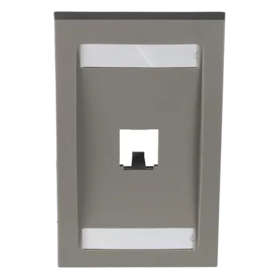 Placa de Pared Vertical / 1 Puerto Mini-Com / 69.8 x 114.3 mm / 2.75 x 4.5 pulg. / Color Gris / Perfil Elevado Ejecutivo