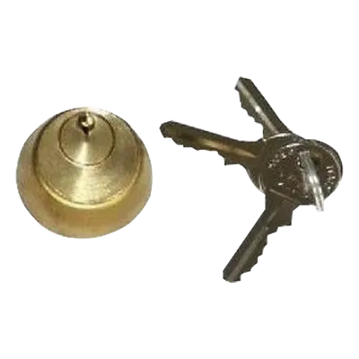 Cilindro interno FAAC 712651003 con 2 llaves para electrochapa No. 3
