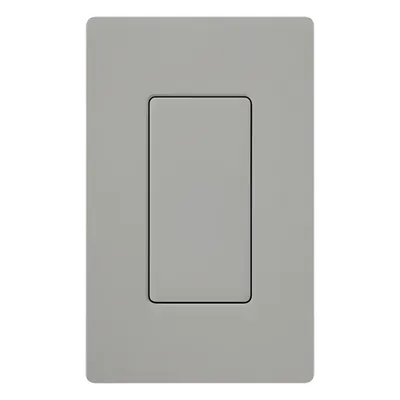 Inserto Ciego para Placa Decorador / Acabado Brillante Gris / Plástico 0.3 in (7.6 mm) / 2 5/8 in (66.7 mm) x 1 5/16 in (33.3 mm)