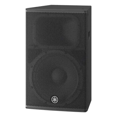 Altavoz Amplificado / 15 pulgadas / 1000W / Bi-Amplificado Clase-D / Madera Contrachapada / 44 Hz - 20 kHz