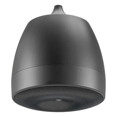 Altavoz Colgante / 6.5 in / 2 Vías / 300W / 8 Ohms / 70V/100V / 120° Dispersión / Negro