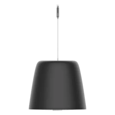Altavoz IP colgante Hikvision DS-QAZ1530G1-BE/BLACK de 30 W
