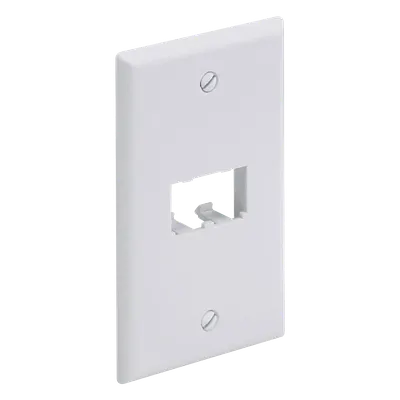 Placa de pared PANDUIT CFP2WH de 2 puertos Mini-Com blanca