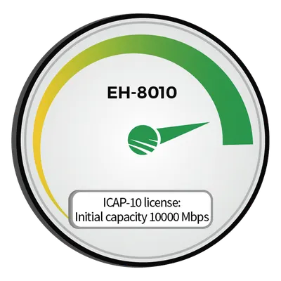 Módulo de capacidad / 10,000 Mbps (10 Gbps) / Compatible EH-8010 / Banda ancha / Integración en redes existentes